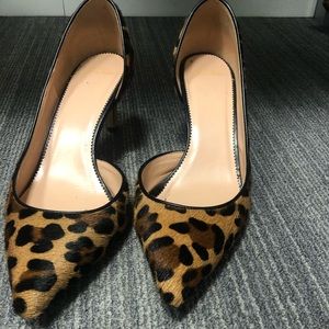 J Crew Elsie Pumps in Leopard Calf Hair